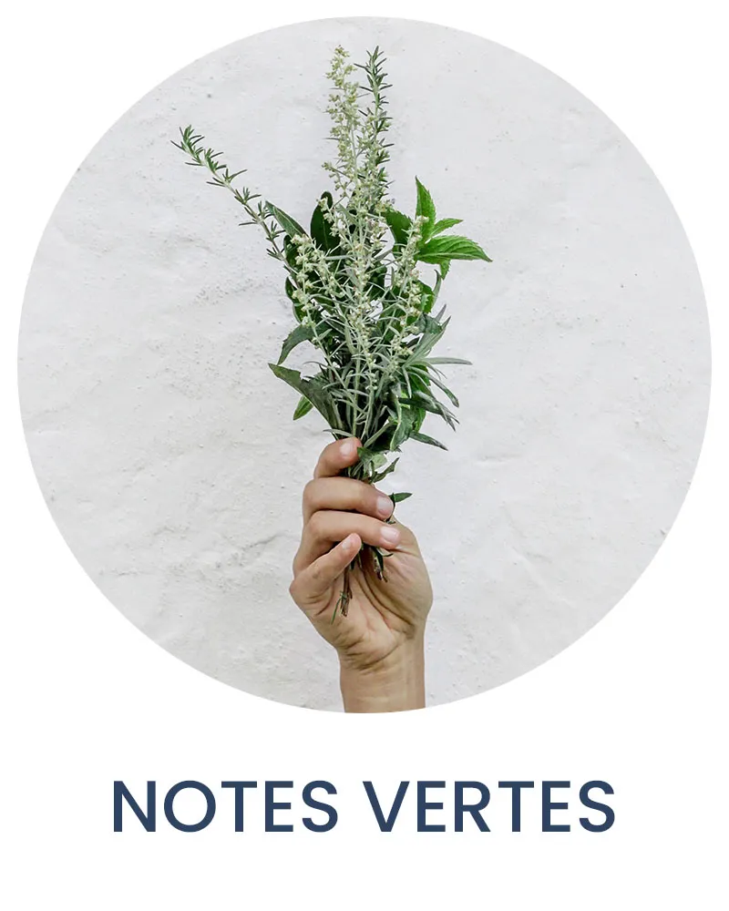 Bougies parfumées notes vertes